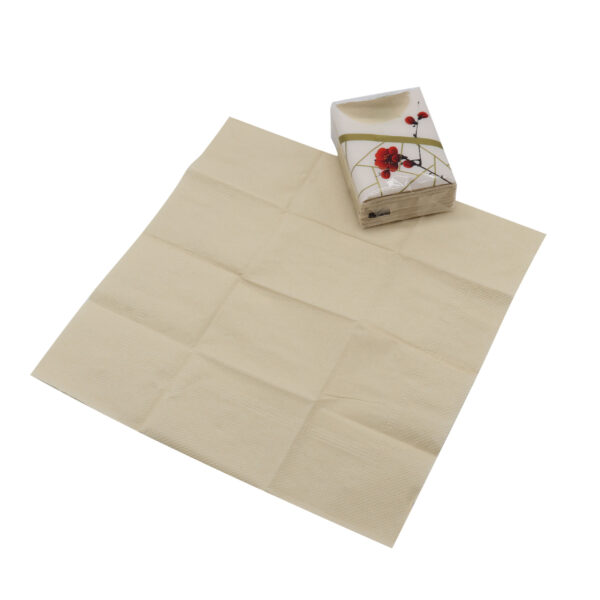 Pocket Tissue