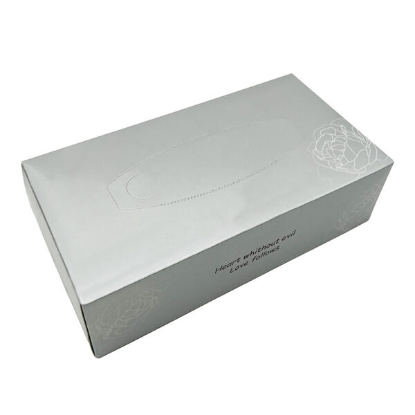 Box drawing