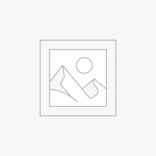 2-layer large roll paper